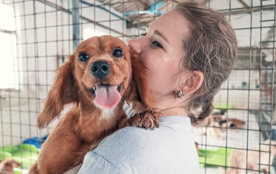 Close-up shot of female volunteer holds on hands dog in shelter