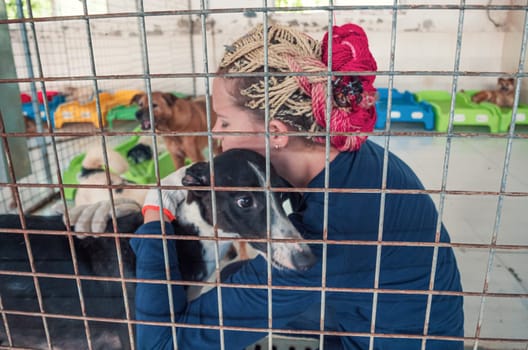 Close-up shot of young girl petting caged stray dog in pet shelter. People, Animals, Volunteering And Helping Concept.