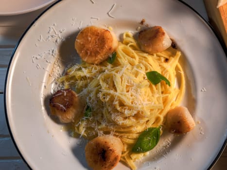 Top view scallops and pasta dish