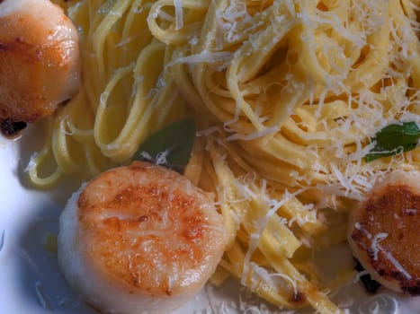 Top view scallops and pasta dish