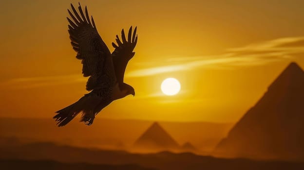 Silhouette of a falcon flying high in egypt in the golden hour.