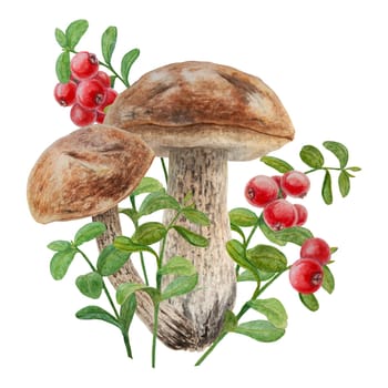 Watercolor hand drawn compostion of forest wild berries and mushroom. Realistic botanical illustration of red juisy cranberry and boletus. Great for printing on fabric, postcards, invitations, menus, book of recipes, labels, stickers