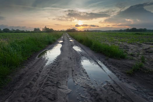 Wet dirt road with puddles between farmland and cloudy sunset, eastern Poland