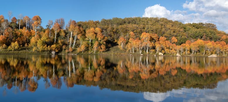 An aspen tree forest in full color is reflected in the calm water of Kolob Reservoir adjacent to Zion National Park, Uath