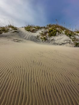 Ripples in the Sand Dunes at Cape Hatteras National Seashore, North Carolina