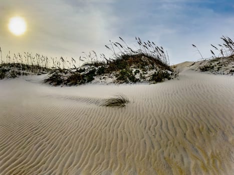 Ripples in the Sand Dunes at Cape Hatteras National Seashore, North Carolina