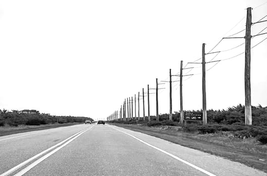 Telephone poles line a highway in rural North Carolina