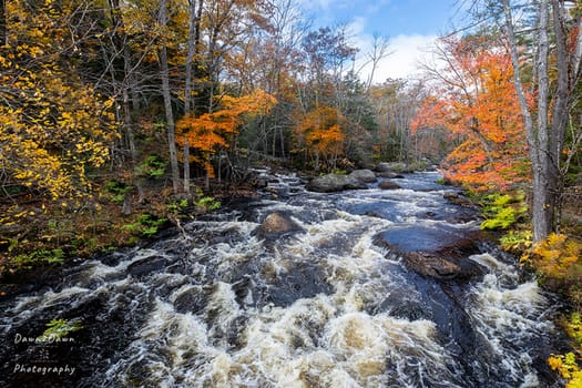 Fall colors have arrived along the North Branch River  near Hillsboro, New Hampshire