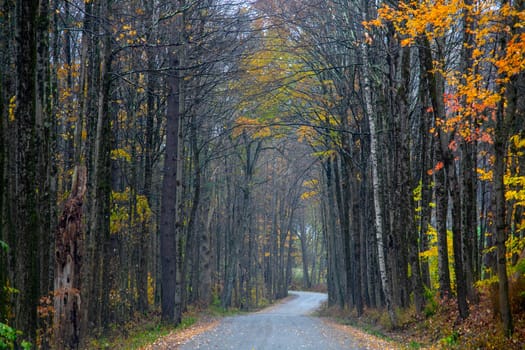 Fall colors have arrived in rural New Hampshire.