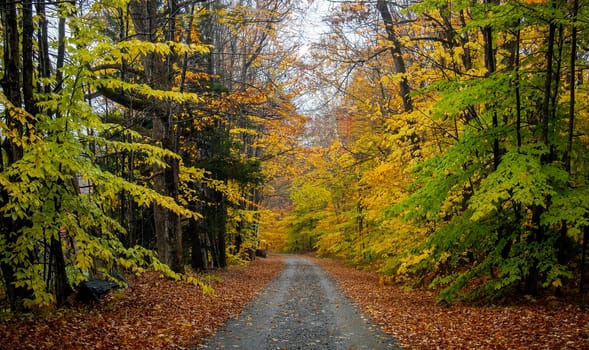 Fall colors have arrived in rural New Hampshire.