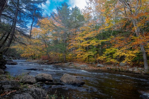 Fall colors have arrived along the North Branch River  near Hillsboro, New Hampshire