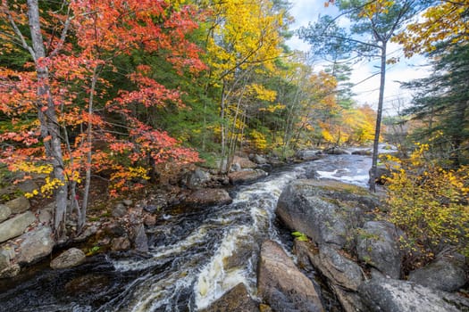 Fall colors have arrived along the North Branch River  near Hillsboro, New Hampshire