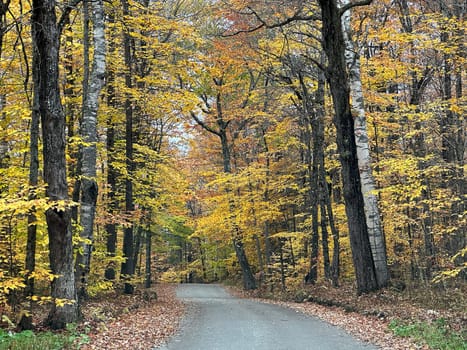 Fall colors have arrived in rural New Hampshire.