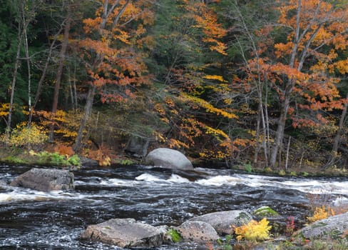 Fall colors have arrived along the Contoocook River at Bennigton, New Hampshire.