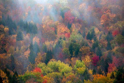 Fog and fall colors have arrive to rural New Hampshire.