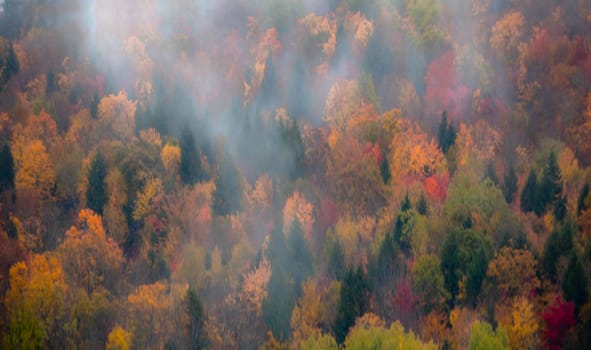 Fog and fall colors have arrive to rural New Hampshire.