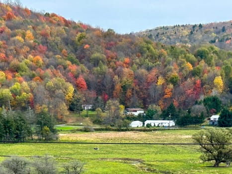 Fall colors have arrived in the countryside of upstate New York