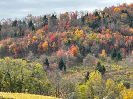 Fall colors have arrived in the countryside of upstate New York