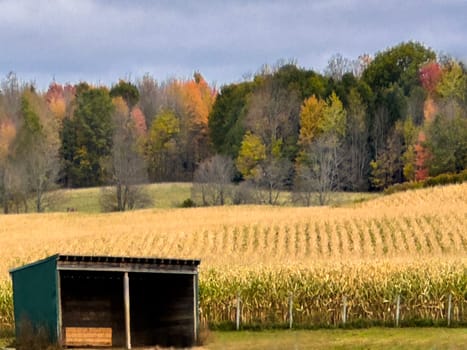 Fall colors have arrived in the countryside of upstate New York