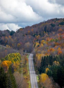 Fall colors have arrived in rural New York State.