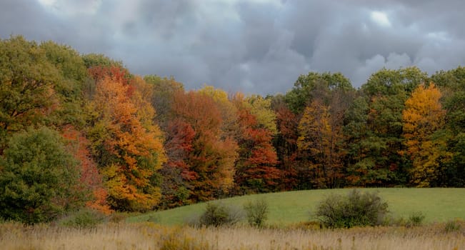 Fall colors have arrived in rural upstate New York