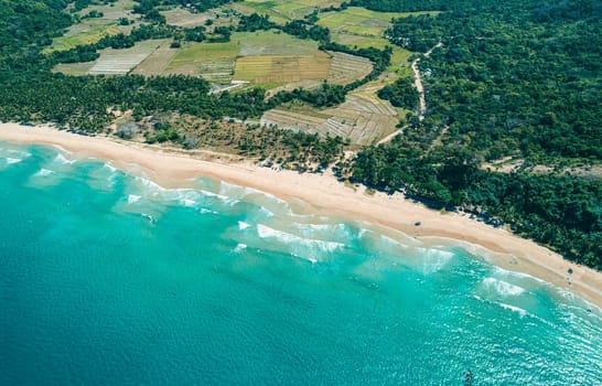 Aerial view of tropical sandy beach in bay with blue water. Seascape with sea, sand, palm trees. Top view of paradise island.