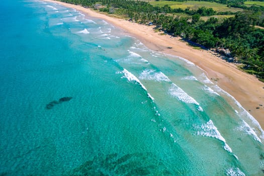 Aerial view of tropical sandy beach in bay with blue water. Seascape with sea, sand, palm trees. Top view of paradise island.