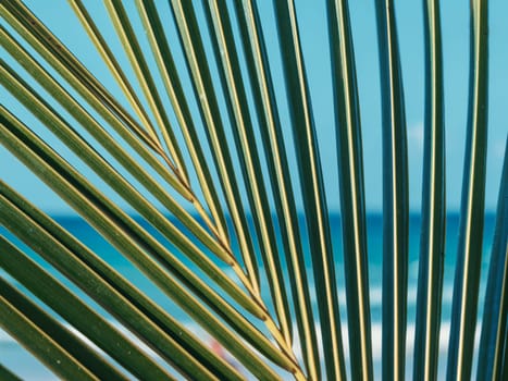 Beautiful tropical beach with blue sky and clouds. View through the palm tree leaves. Tropical beach with waves crashing empty beach. Summer and travel vacation concept.