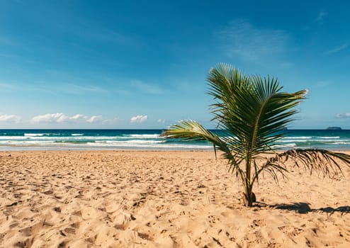 Beautiful tropical beach with blue sky and clouds. Tropical beach with waves crashing empty beach. Summer and travel vacation concept.