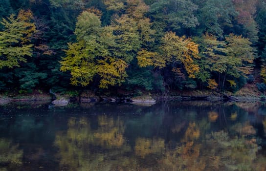 Fall colors have arrived along the Clarion River at Cook Forest State Park, Pennsylvania