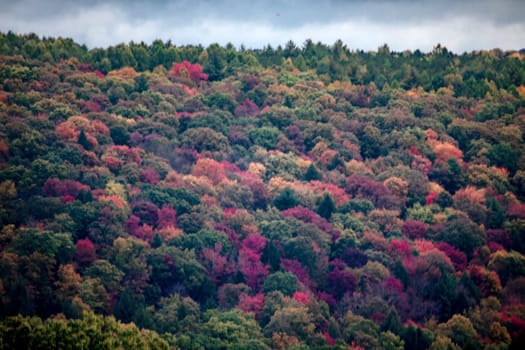 Fall colors have arrived to rural Pennsylvania