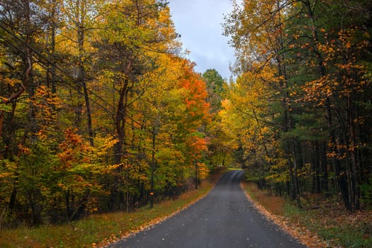 Fall colors have arrived to rural Pennsylvania