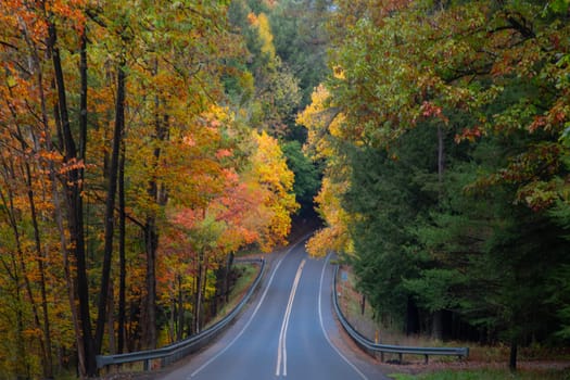 Fall colors have arrived to rural Pennsylvania