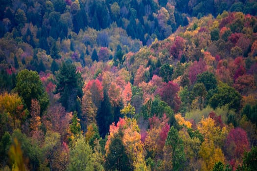 Fall colors have arrived to rural Pennsylvania