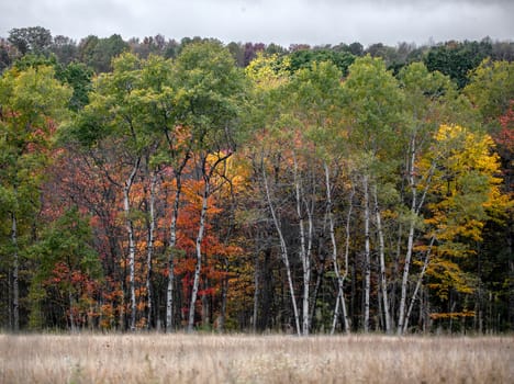 Fall colors have arrived in rural Pennsylvania.