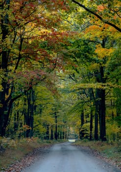 Fall colors have arrived in rural Pennsylvania.