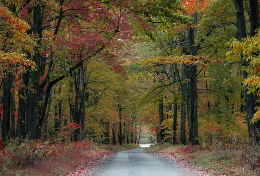 Fall colors have arrived in rural Pennsylvania.