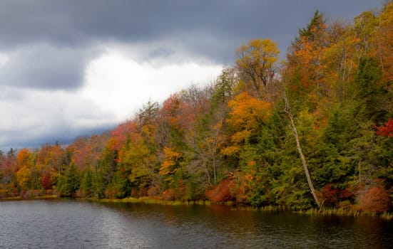 Fall colors have arrived at Ricketts Glen State Park, Pennsylvania