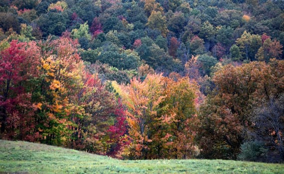 Fall colors have arrived in rural Pennsylvania.