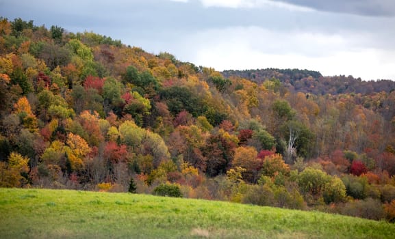 Fall colors have arrived in rural Pennsylvania.