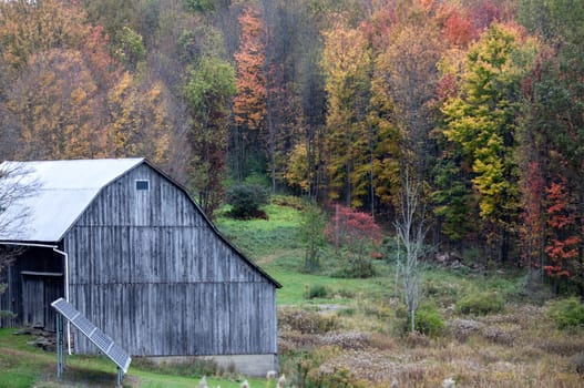 Fall colors have arrived in rural Pennsylvania.