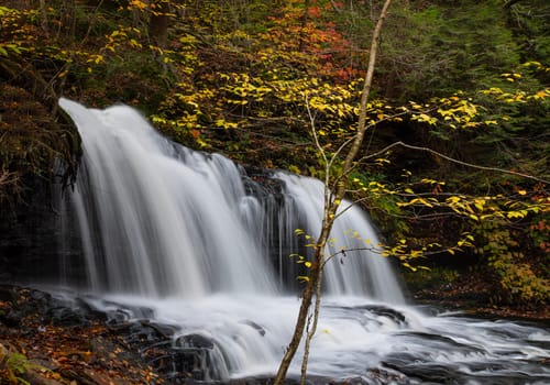 Fall colors surround Mohawk Falls at Ricketts Glen State Park, Pennsylvania