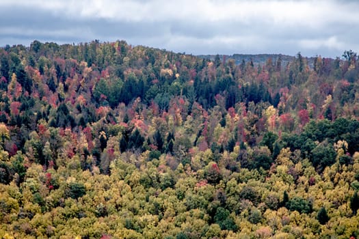 Fall colors have arrived to rural Pennsylvania