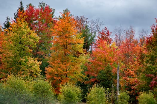 Fall colors have arrived to rural Pennsylvania