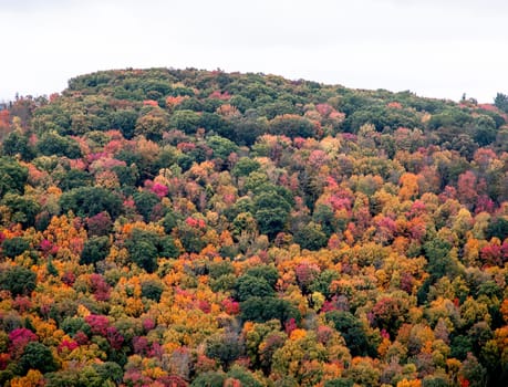 Fall colors have arrived to rural Pennsylvania