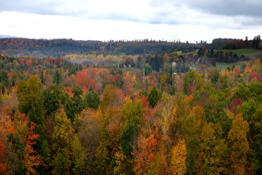 Fall colors have arrived in rural Pennsylvania.