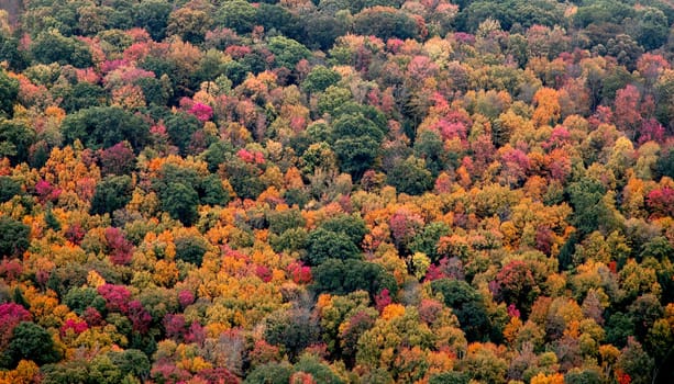 Fall colors have arrived to rural Pennsylvania