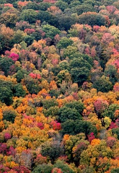 Fall colors have arrived to rural Pennsylvania