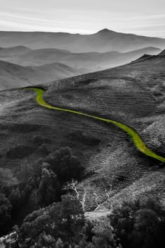 The green hills and valleys surrounding Moro Bay, California