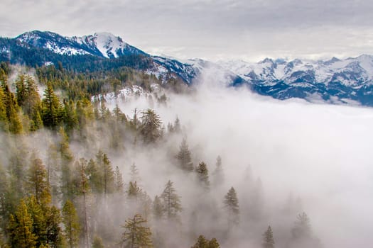 Fog rolls into Giant Forest and the Sierra Nevada Mountain Range at Sequoia National Park, California